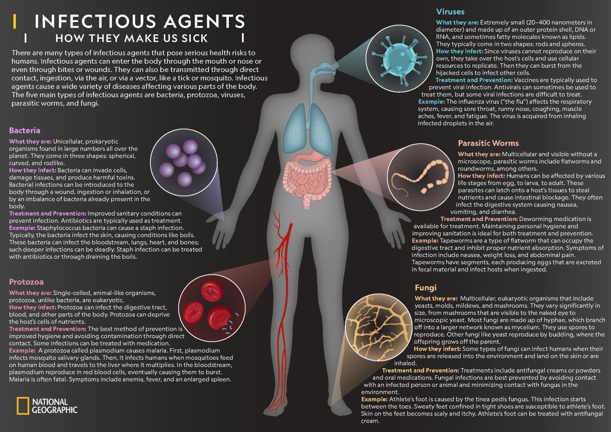 The body cannot fight Oral Bacteria when you are ill.